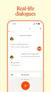 screen