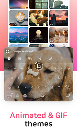 screen
