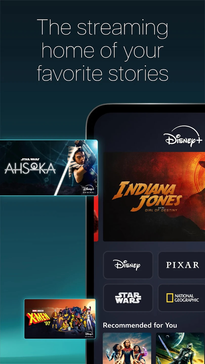 screen