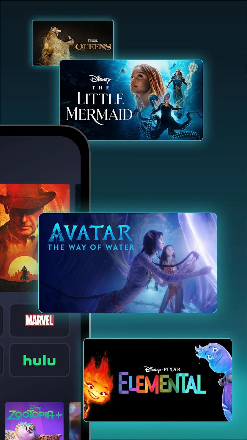 screen
