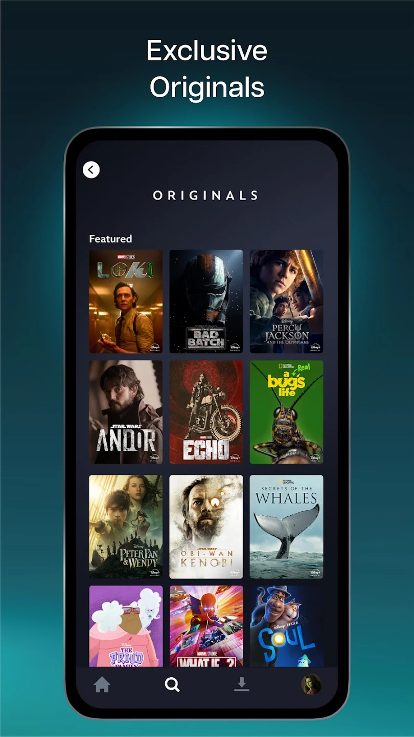 screen