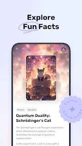 screen