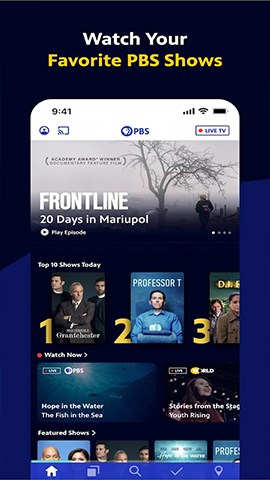 screen