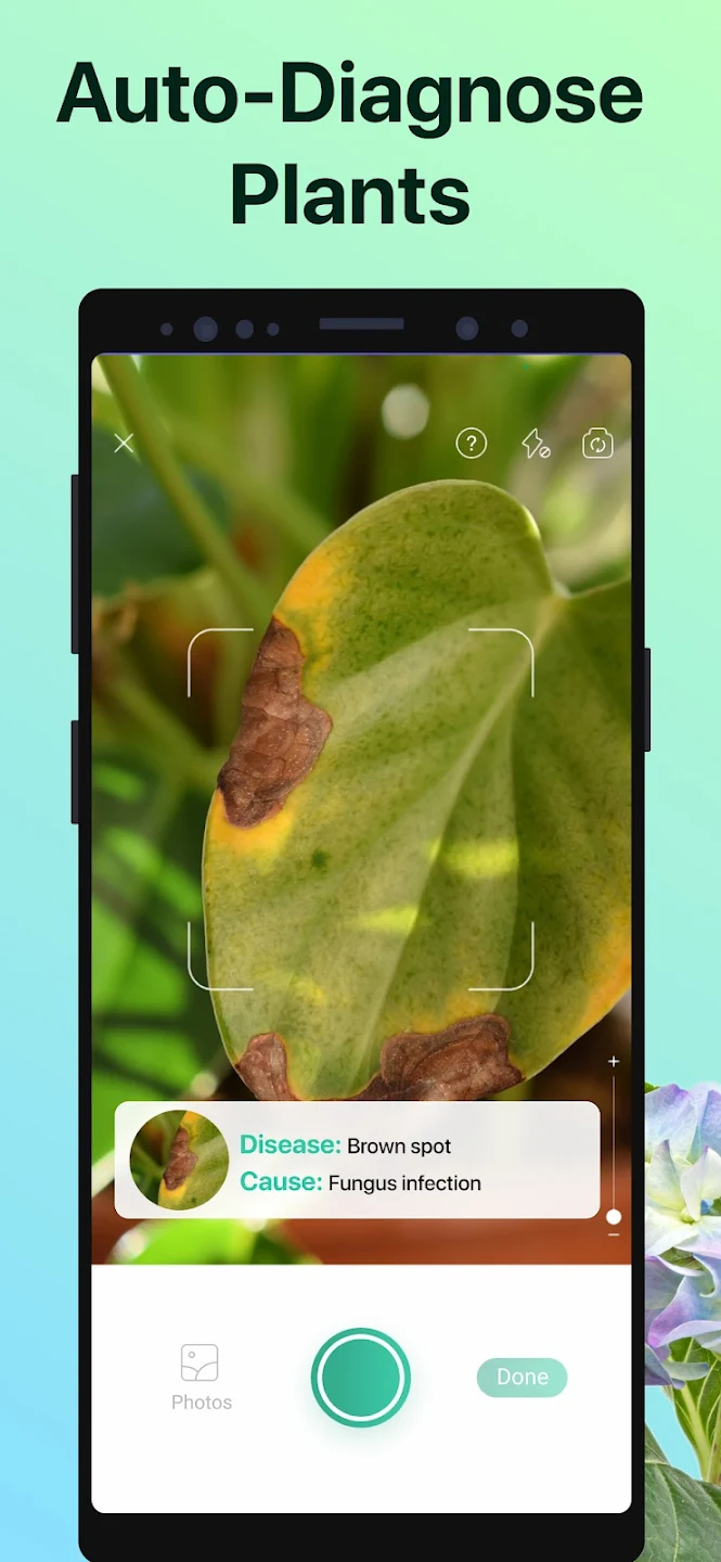 screen