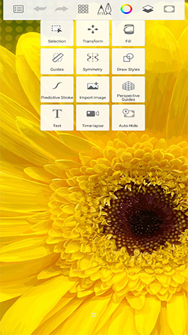 screen