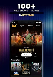screen