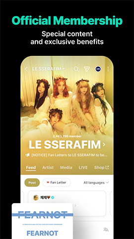 screen